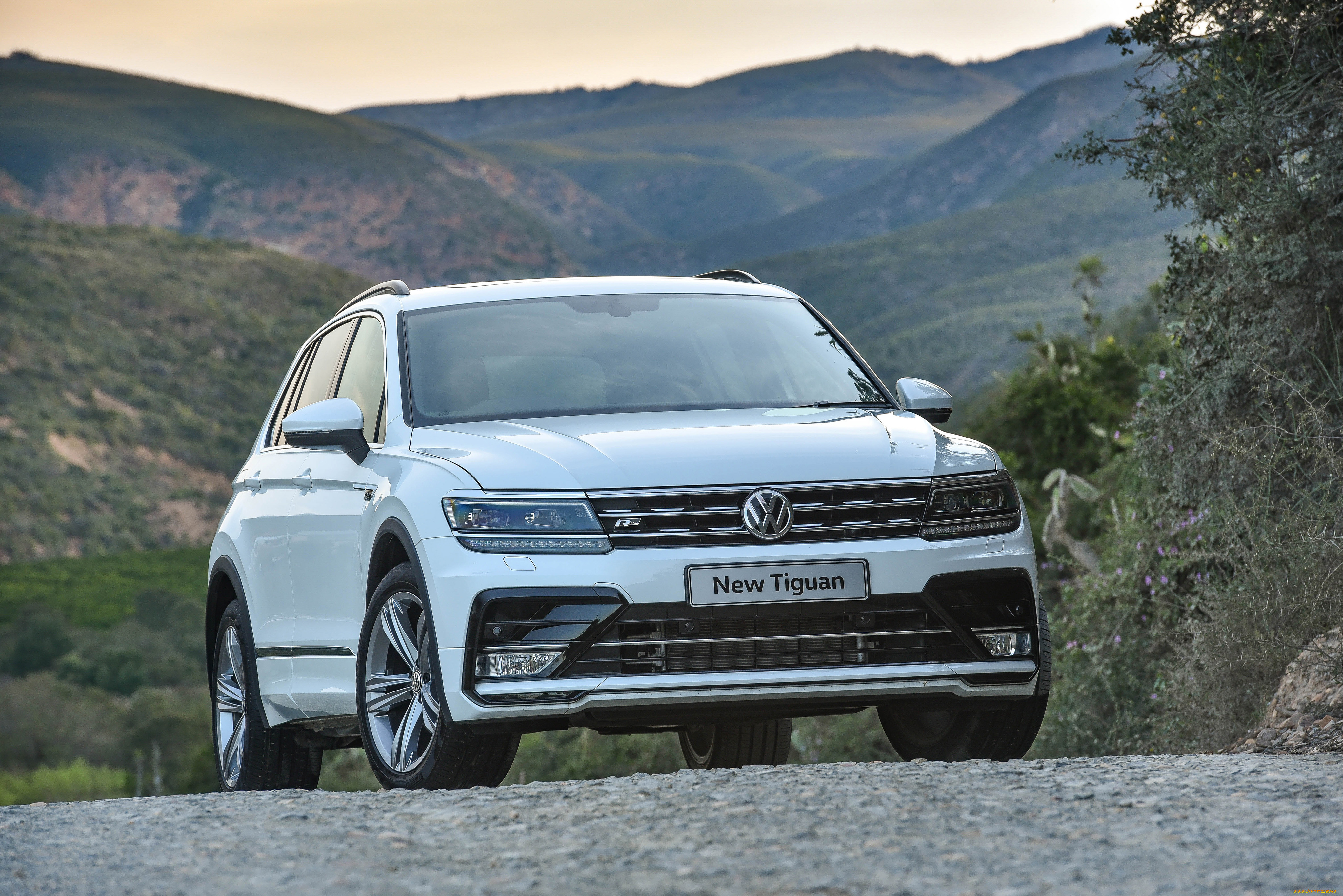 Tiguan r 2023. Volkswagen Tiguan 2 r-line. Volkswagen Tiguan спортлайн. VW Tiguan 2 VW Tiguan Sportline. Tiguan 2016 r line.